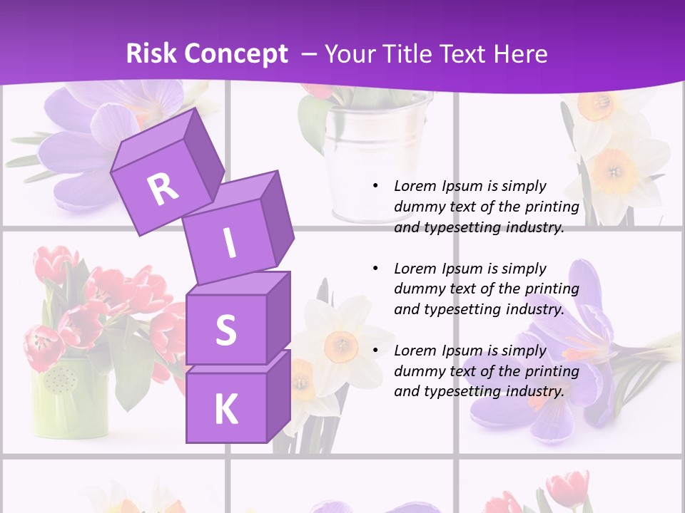 Collection White Purple PowerPoint Template