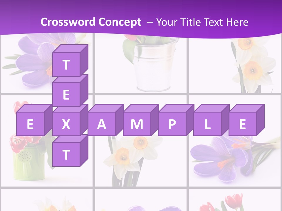 Collection White Purple PowerPoint Template