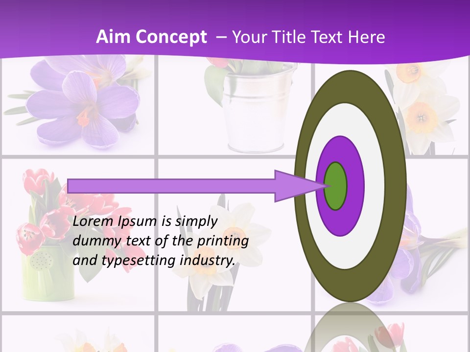 Collection White Purple PowerPoint Template