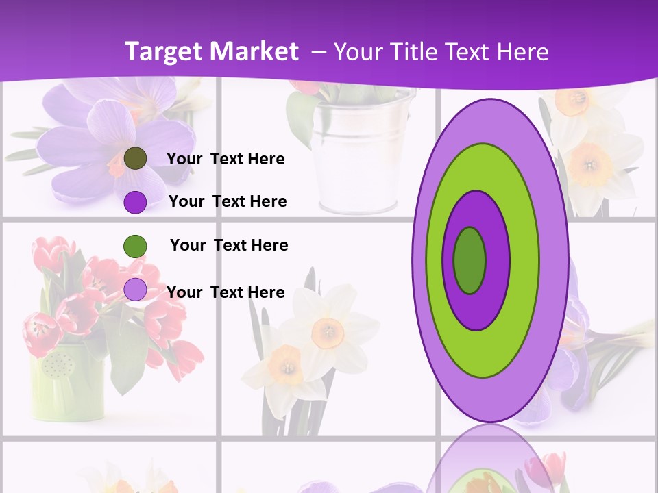 Collection White Purple PowerPoint Template