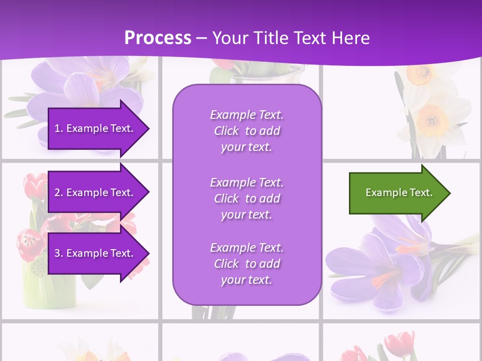 Collection White Purple PowerPoint Template