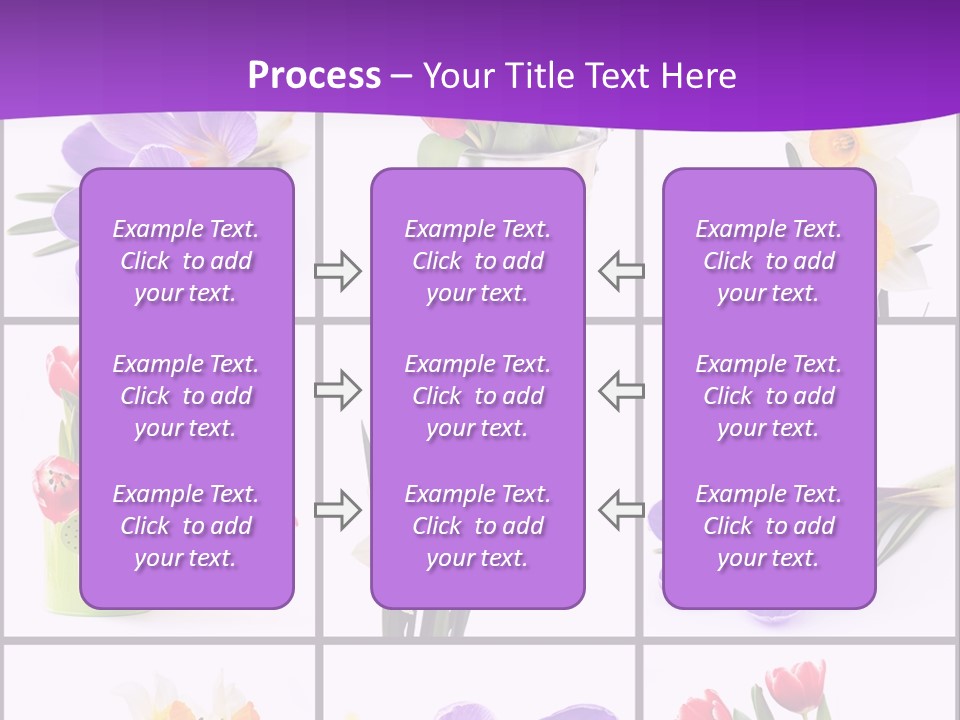 Collection White Purple PowerPoint Template