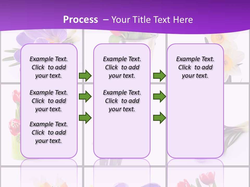 Collection White Purple PowerPoint Template