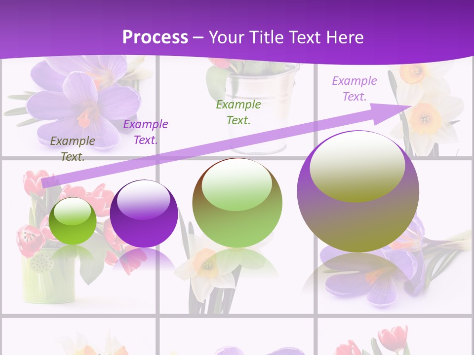 Collection White Purple PowerPoint Template