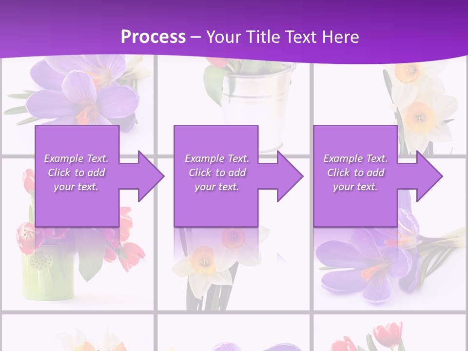 Collection White Purple PowerPoint Template