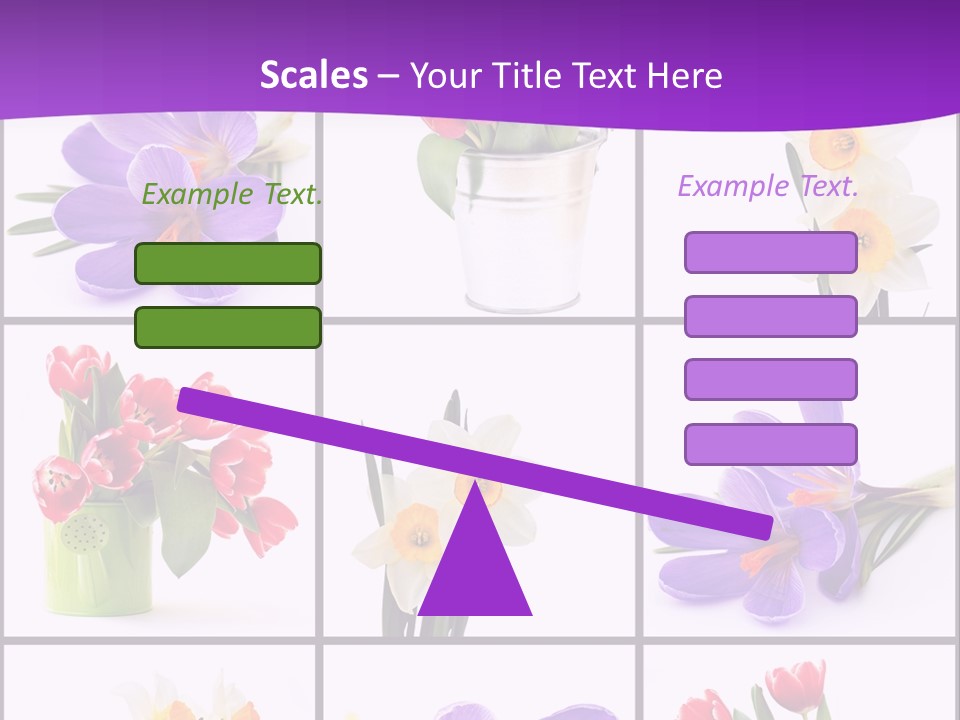 Collection White Purple PowerPoint Template