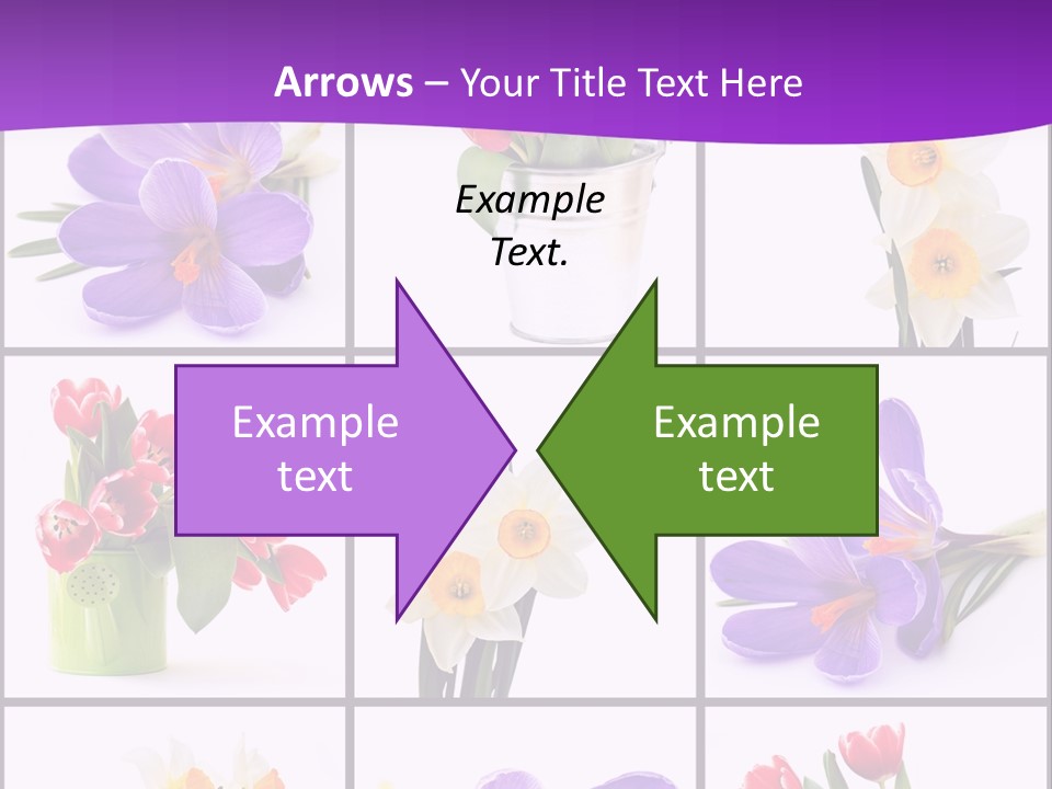 Collection White Purple PowerPoint Template