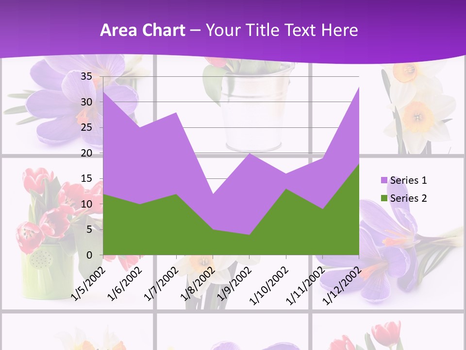 Collection White Purple PowerPoint Template