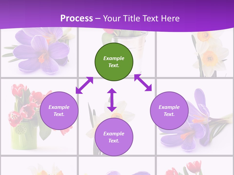 Collection White Purple PowerPoint Template