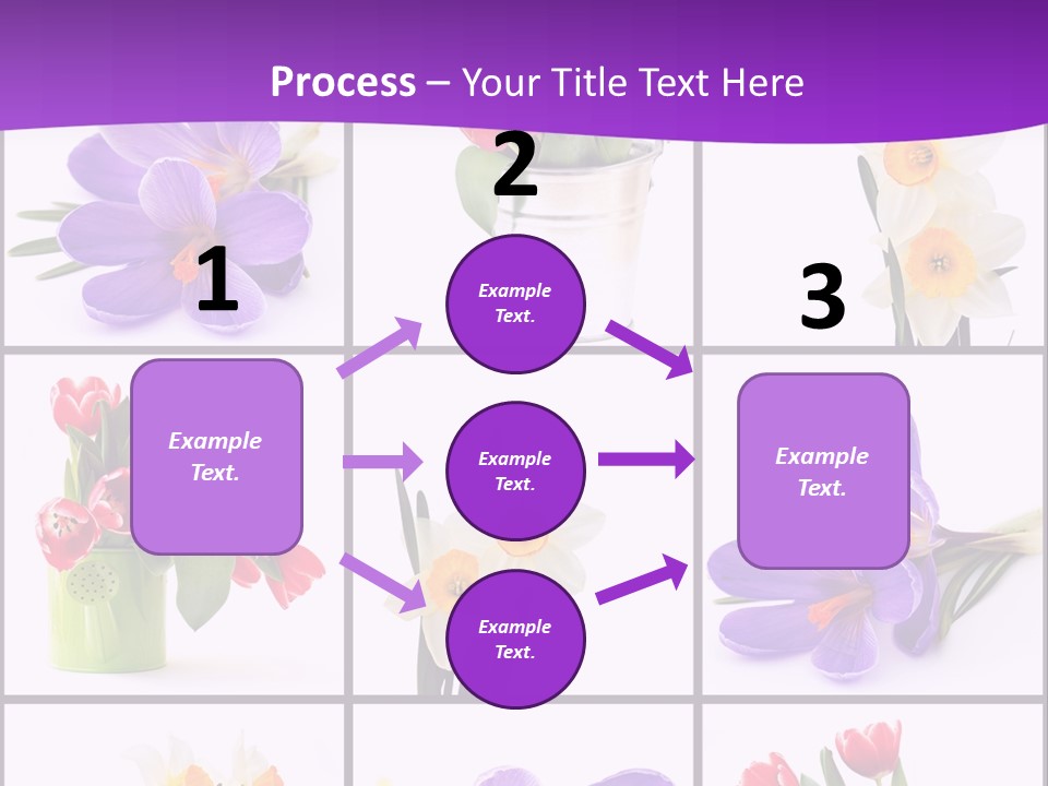 Collection White Purple PowerPoint Template