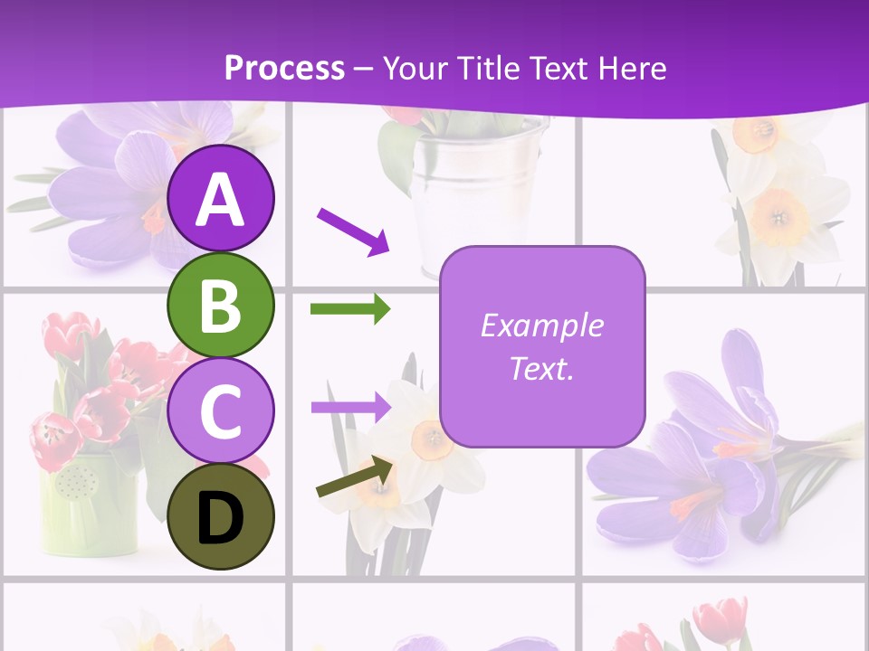 Collection White Purple PowerPoint Template
