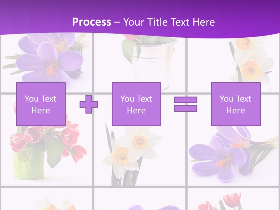 Collection White Purple PowerPoint Template