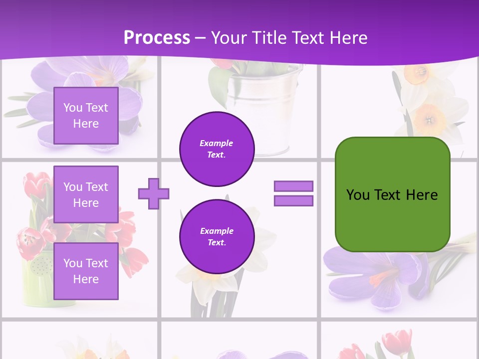 Collection White Purple PowerPoint Template