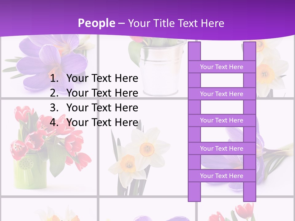 Collection White Purple PowerPoint Template