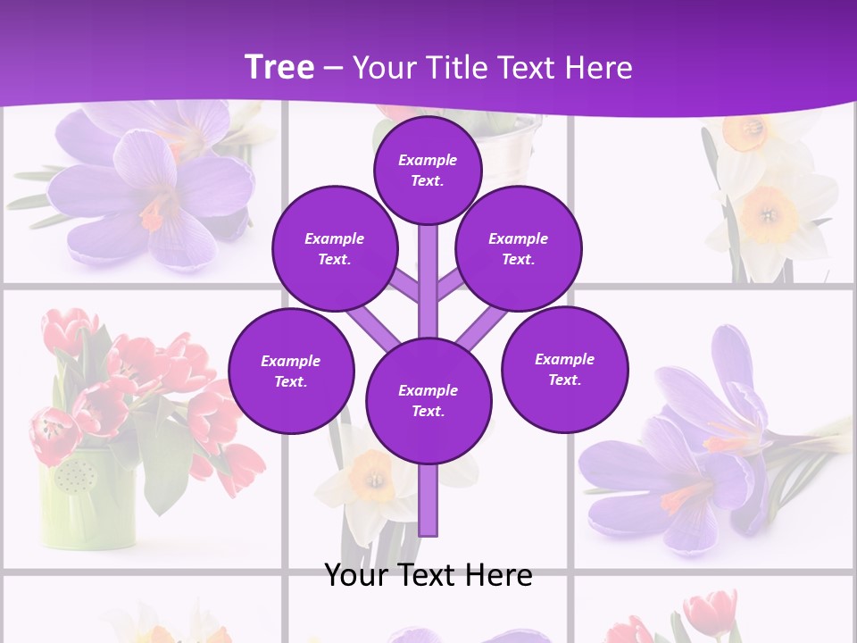 Collection White Purple PowerPoint Template