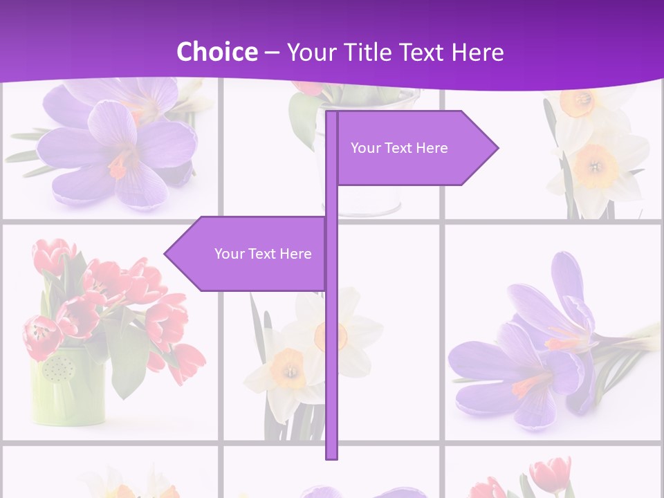 Collection White Purple PowerPoint Template