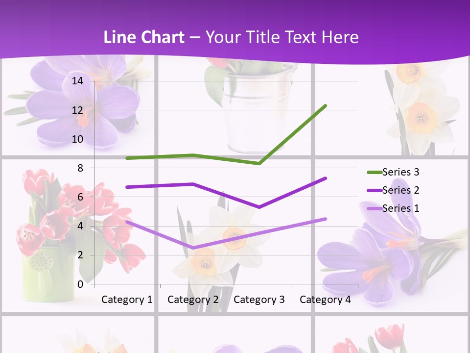 Collection White Purple PowerPoint Template