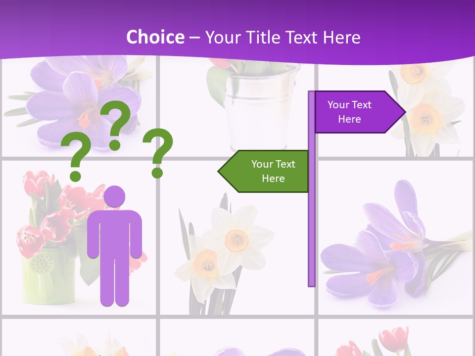 Collection White Purple PowerPoint Template
