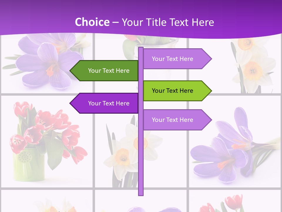 Collection White Purple PowerPoint Template
