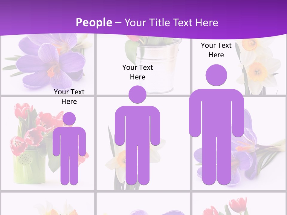 Collection White Purple PowerPoint Template