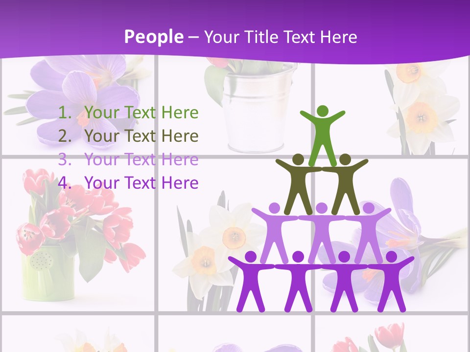 Collection White Purple PowerPoint Template