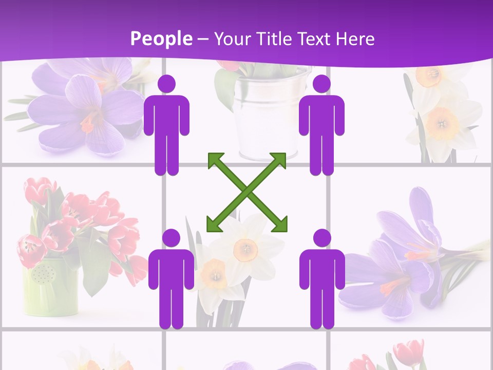 Collection White Purple PowerPoint Template