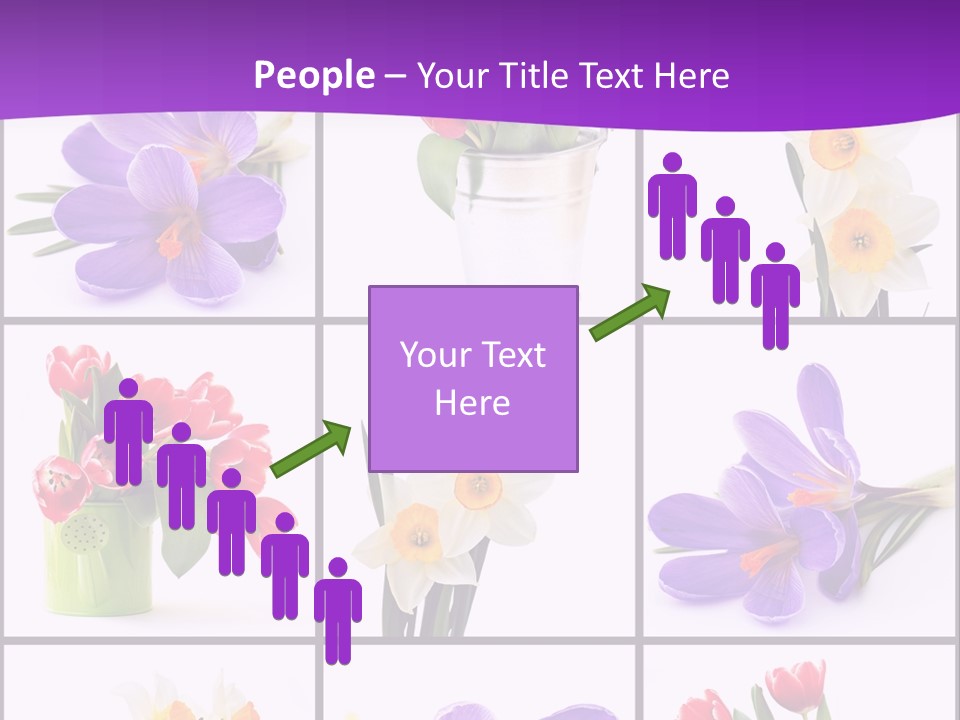 Collection White Purple PowerPoint Template