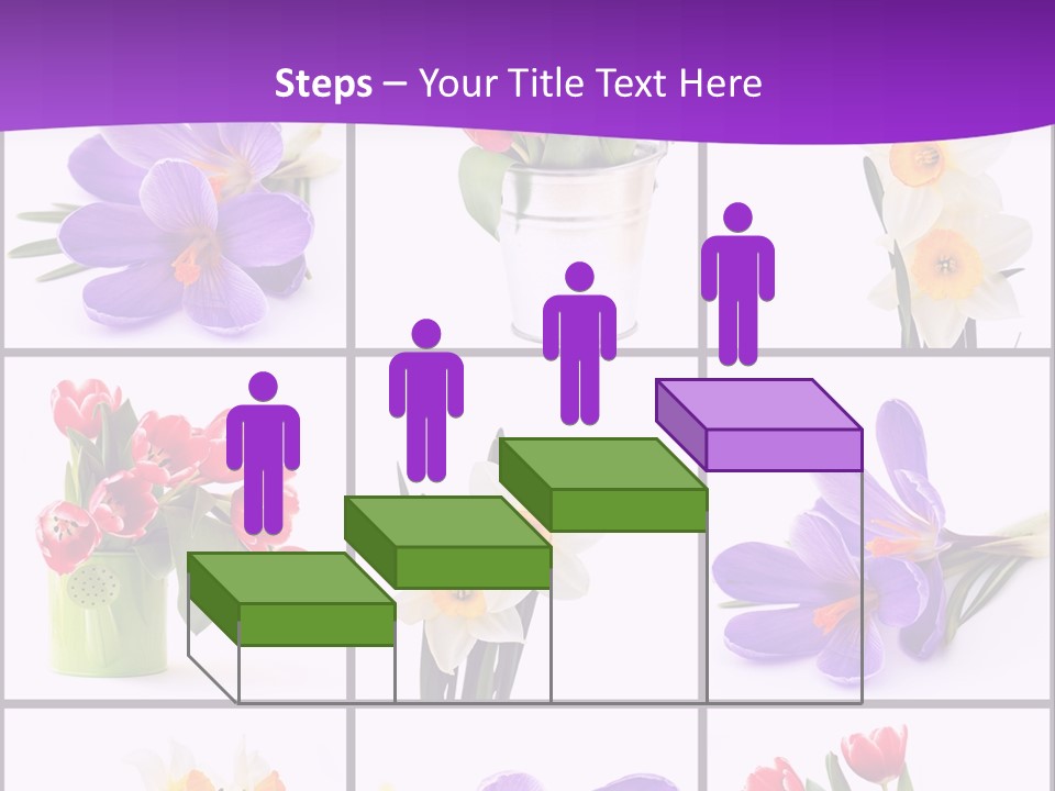 Collection White Purple PowerPoint Template