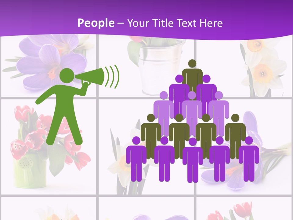 Collection White Purple PowerPoint Template