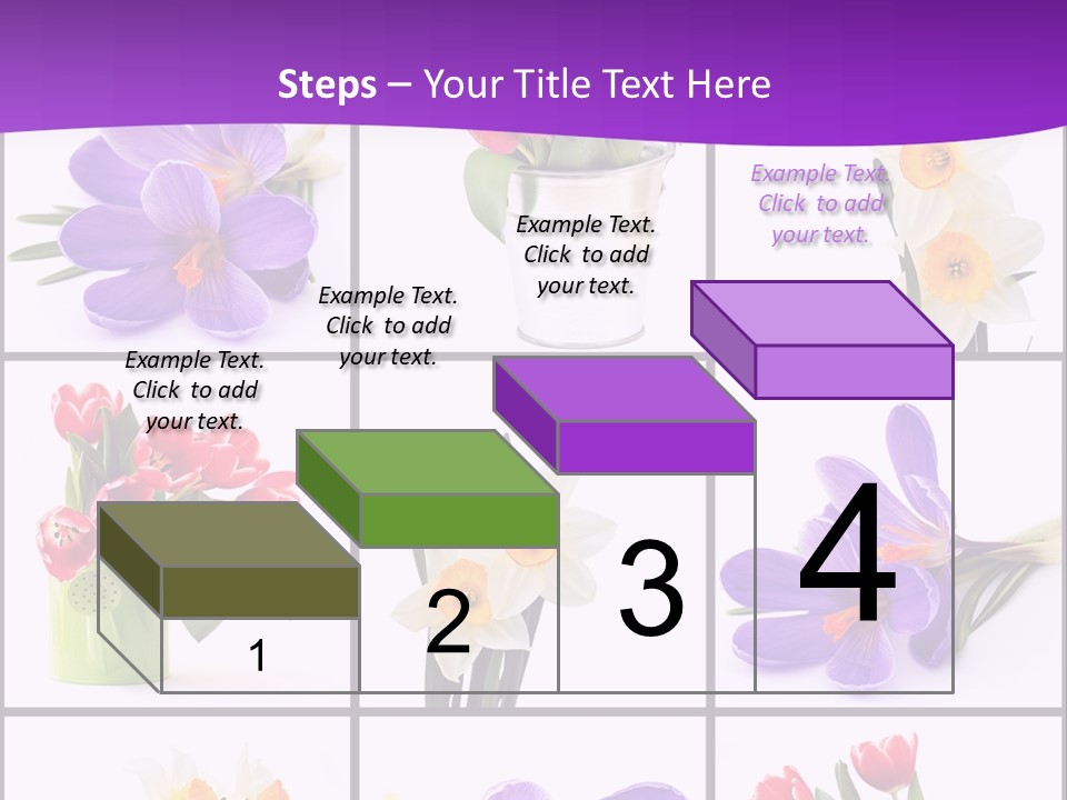 Collection White Purple PowerPoint Template