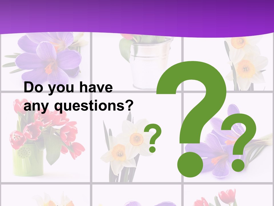 Collection White Purple PowerPoint Template