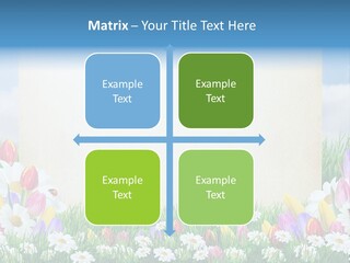 Natural Summer Flower PowerPoint Template