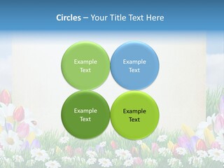 Natural Summer Flower PowerPoint Template