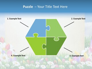 Natural Summer Flower PowerPoint Template