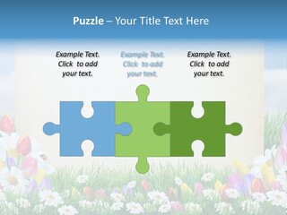 Natural Summer Flower PowerPoint Template