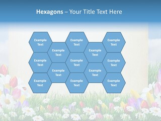 Natural Summer Flower PowerPoint Template