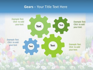 Natural Summer Flower PowerPoint Template