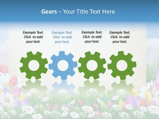 Natural Summer Flower PowerPoint Template