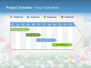 Natural Summer Flower PowerPoint Template