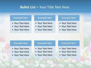 Natural Summer Flower PowerPoint Template