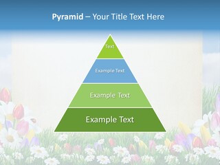 Natural Summer Flower PowerPoint Template