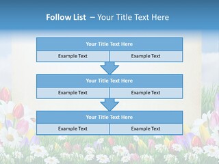 Natural Summer Flower PowerPoint Template