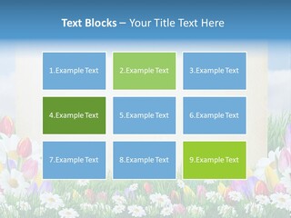 Natural Summer Flower PowerPoint Template