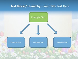 Natural Summer Flower PowerPoint Template