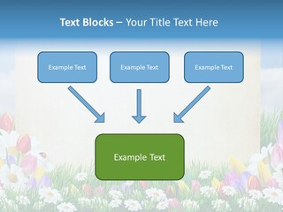Natural Summer Flower PowerPoint Template