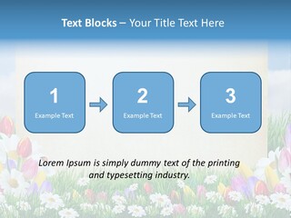 Natural Summer Flower PowerPoint Template