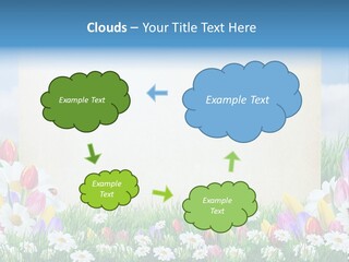 Natural Summer Flower PowerPoint Template