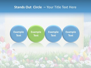 Natural Summer Flower PowerPoint Template
