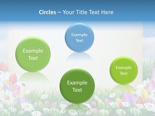 Natural Summer Flower PowerPoint Template