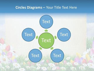 Natural Summer Flower PowerPoint Template